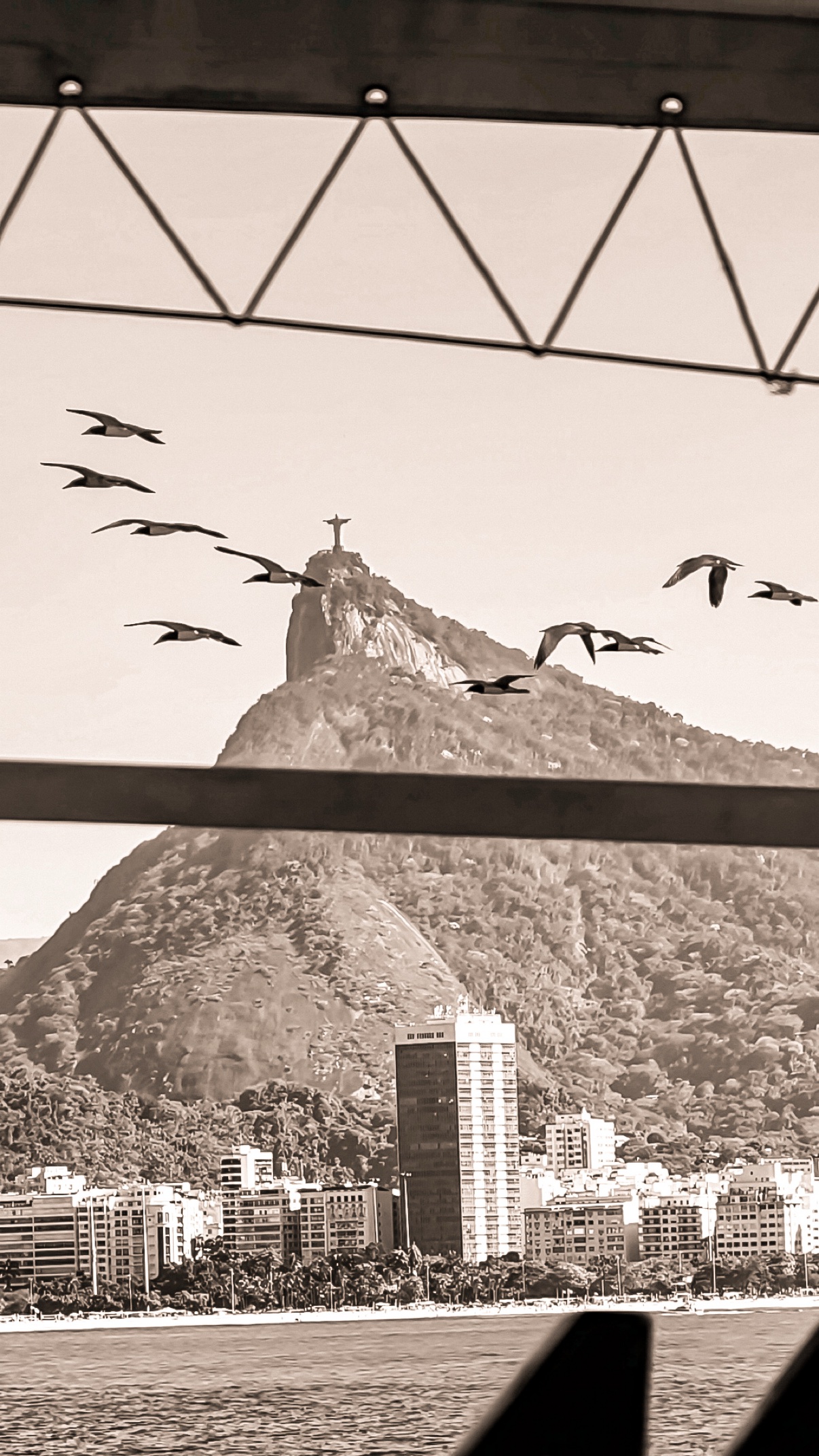 Birds over Corcovado mountain in Rio de Janeiro